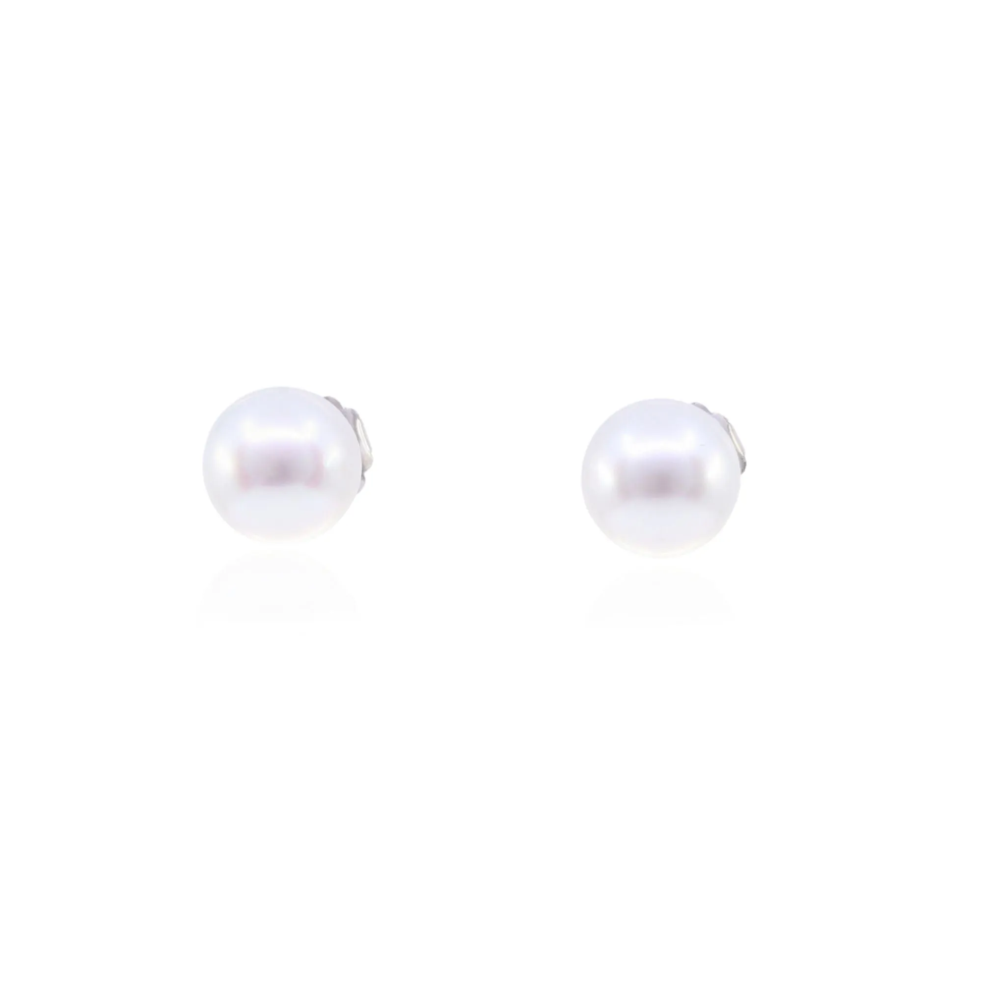 EXCLUSIVELY BY NINA 14K WHITE GOLD SOUTH SEA PEARL STUD EARRINGS