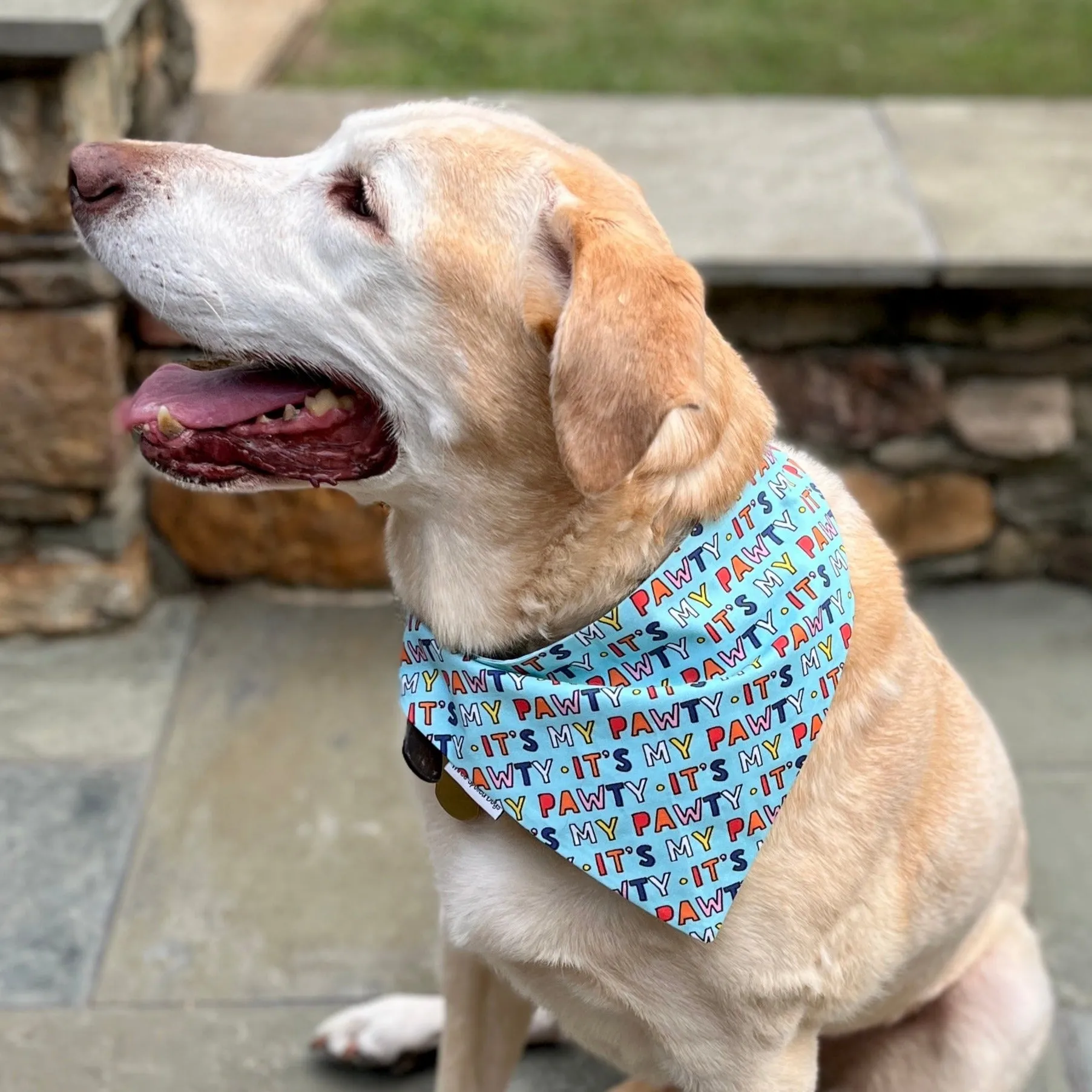 It's My Pawty Birthday Bandanas in Pink and Blue